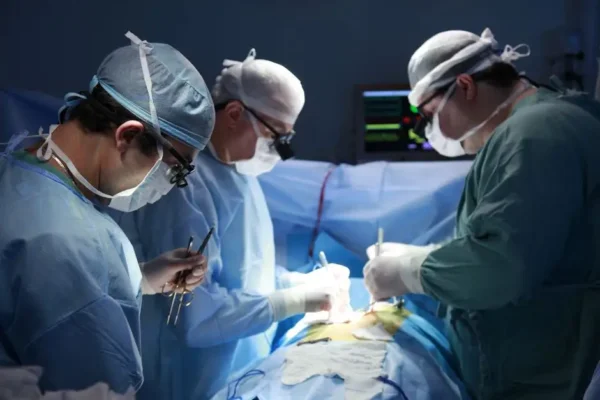 Szczecin: urolodzy i ginekolodzy razem na warsztatach uroginekologicznych