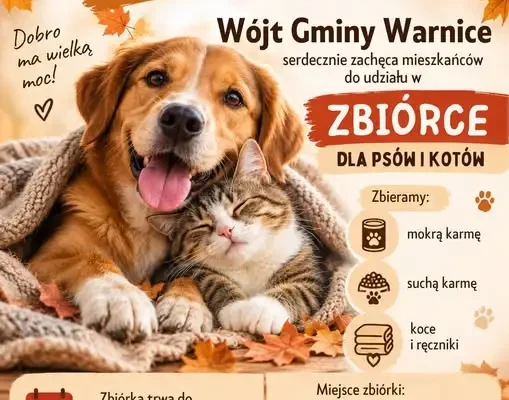 Gmina Warnice organizuje zbiórkę dla zwierząt. Październik miesiącem dobroci